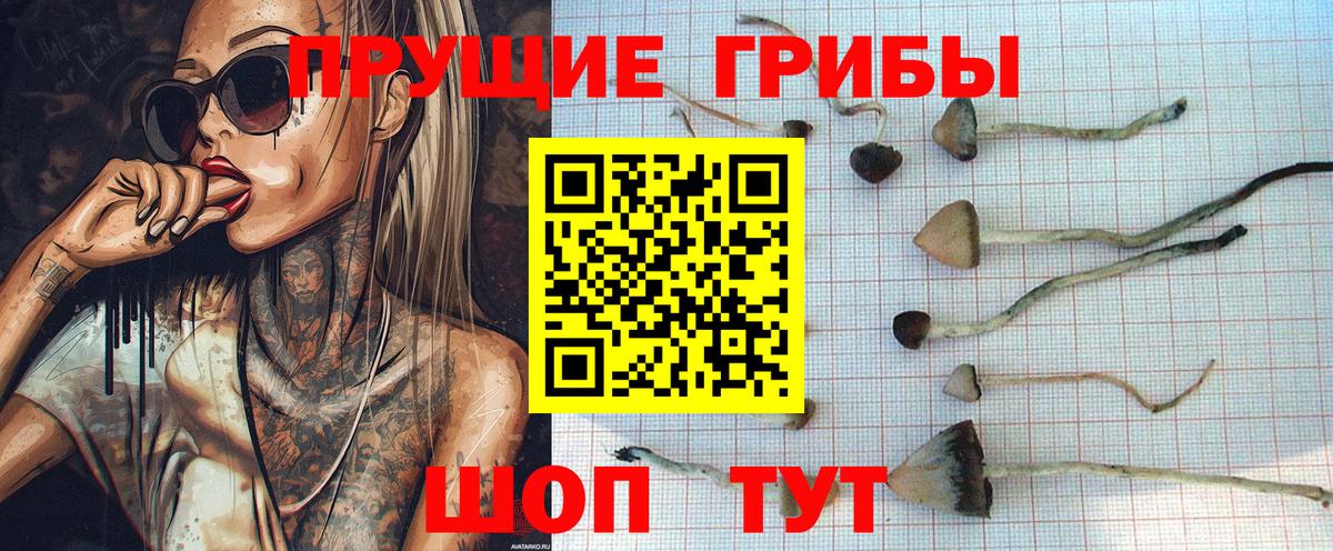 Вольск  Галлюциногенные грибы GOLDEN TEACHER  Вход с VPN 