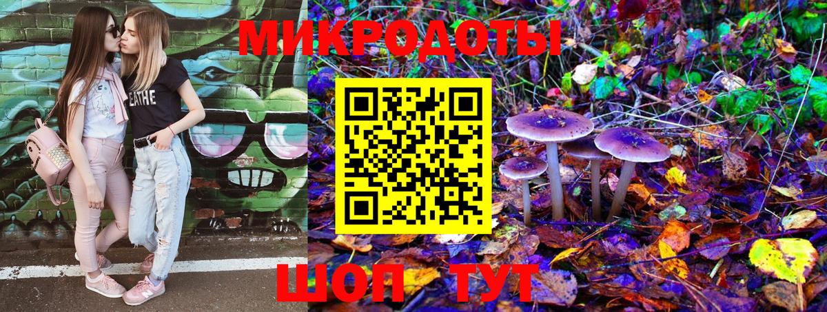 Псилоцибиновые грибы Magic Shrooms Вольск